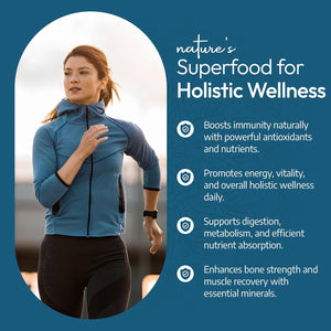 Ayurvediq Wellness Organic Moringa Capsules 500Mg, 120 High Strength Moringa Powder Capsules – Soil Association Certified Moringa Oleifera Powder - Vegan Ayurvedic Products