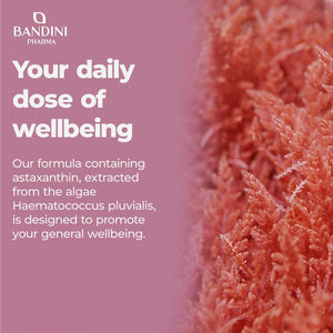 Bandini® Pure Astaxanthin 18 Mg | 270 High Strength Capsules | 9 Months Supply | Powerful Antioxidant from Haematococcus Pluvialis Algae | Astaxantine Supplement, Magnesium Stearate & Gmo-Free | Vegan