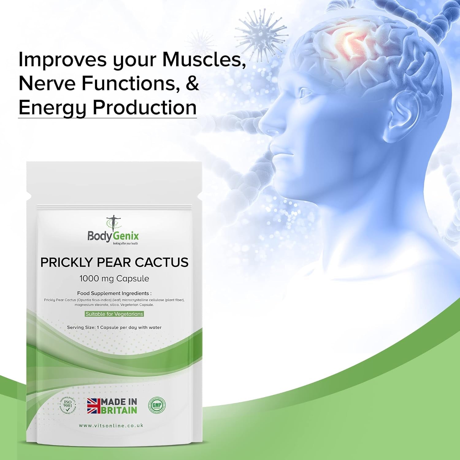 Bodygenix Prickly Pear Cactus Capsules - 1000Mg Digestive Health Immune System anti Inflammation Support Natural Dietary Supplement - 120 Capsules 4 Month Supply