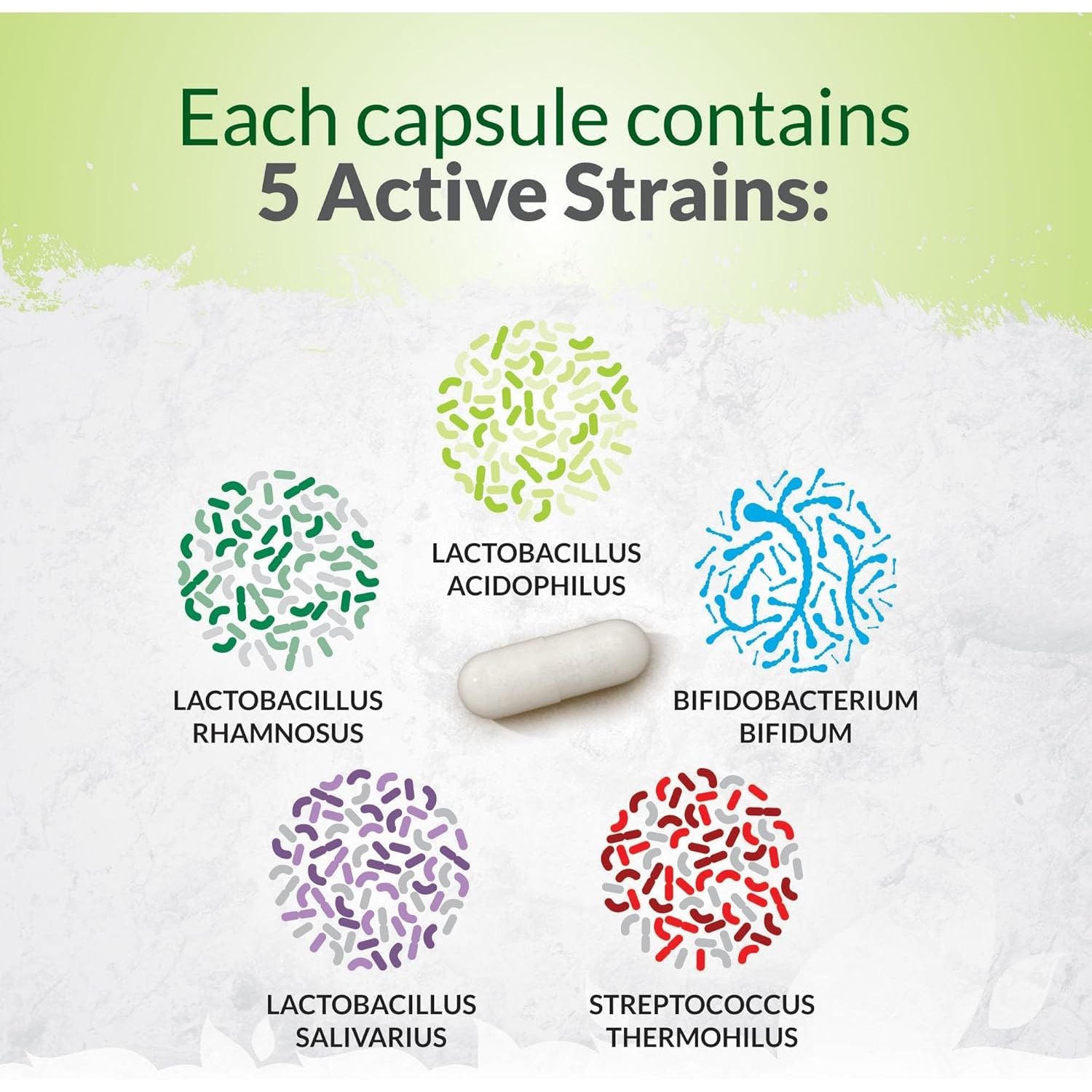 Bio-Cultures Complex - 180 High Strength Capsules - Lactobacillus Acidophilus, Rhamnosus & Bifidobacterium - 6 Month Supply - Gentle Vegetarian Multi-Strain Formula for Men & Women - Nu U Nutrition