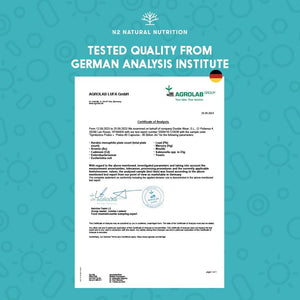 Probiotics and Prebiotics Supplement for Adults, 40 Billion CFU, 6 Probiotic Strains with Inulin. 90 Vegan Capsules. N2 Natural Nutrition