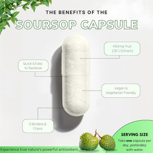 Organic Soursop Capsules | Full Spectrum 13500Mg 30:1 Extract per Serving | Potent Antioxidant & Immune Support - 60 Capsules