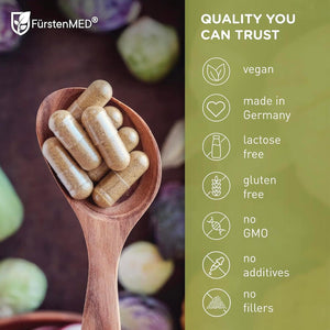 Fürstenmed - Milk Thistle with Artichoke Extract, Dandelion Root & Choline - Vegan Liver Support - 120  Capsules