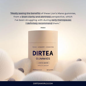 DIRTEA Lion's Mane Mushroom Gummies Support Focus and Brain Wellness Vegan Sugar-Free 60 Gummies.