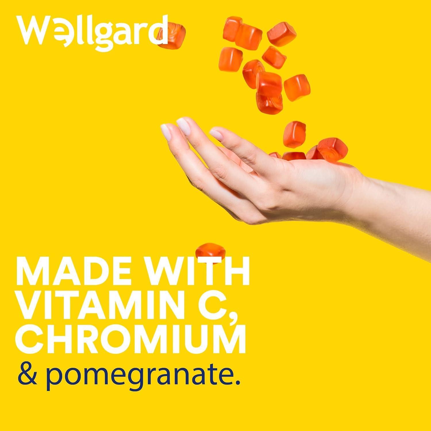Wellgard Vegan Apple Cider Vinegar Gummies Gold Standard 1000Mg  with Vitamin C, Chromium and Pomegranate