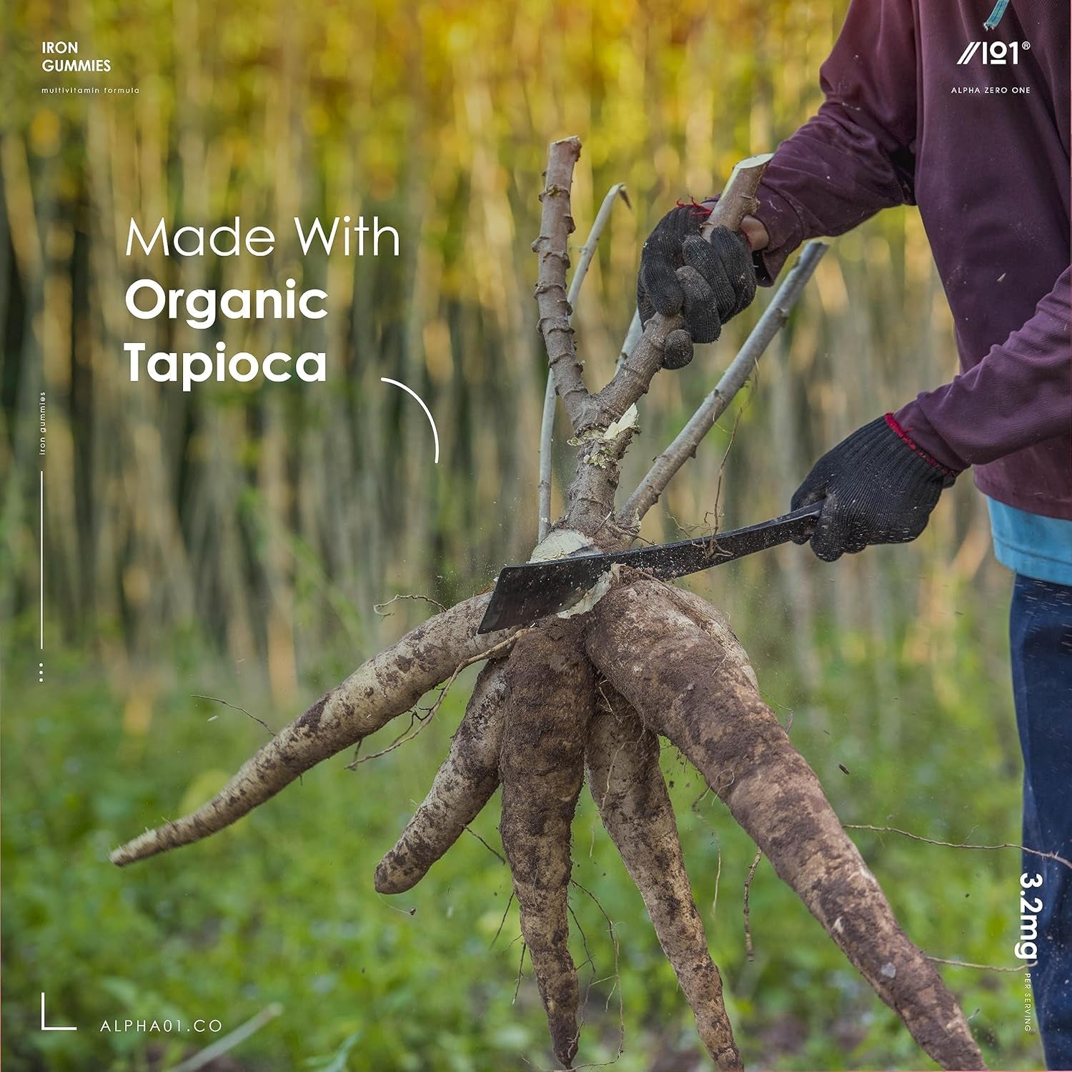 Iron 28Mg Gummies with Vitamin C, Niacin, Vitamin B6, B5, B12, Folic Acid & Biotin – 60 Vegan Gummies – Tapioca Base – Cherry Flavour – by Alpha01