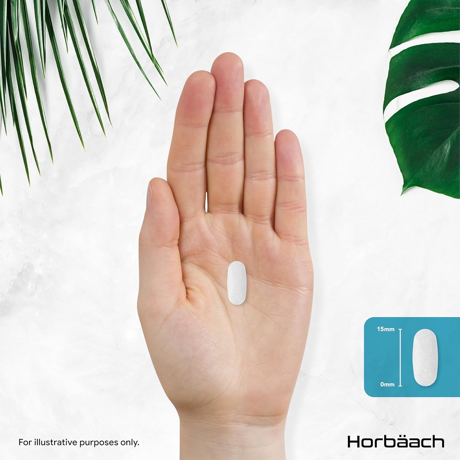 Zinc Tablets 25Mg | (1 Year Supply) High Absorption Chelated Zinc | Immunity Support Supplements | 360 Vegan Tablets | by Horbaach