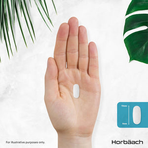 Zinc Tablets 25Mg | (1 Year Supply) High Absorption Chelated Zinc | Immunity Support Supplements | 360 Vegan Tablets | by Horbaach