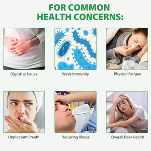 Wild Oil of Oregano Softgels 2 In1 6,000 Mg Oregano Oil with Black Seed 120 Softgels Easy to Swallow for Enhancing Immune System & Bone Health