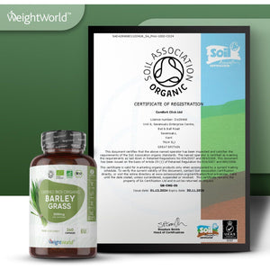 Organic Barley Grass Powder Capsules - 240 Capsules - Barley Grass Supplement - 2 Months Supply - Non-Gmo & Gluten-Free - Vegan-Friendly & Magnesium Stearate-Free - Made in EU - for Men & Women