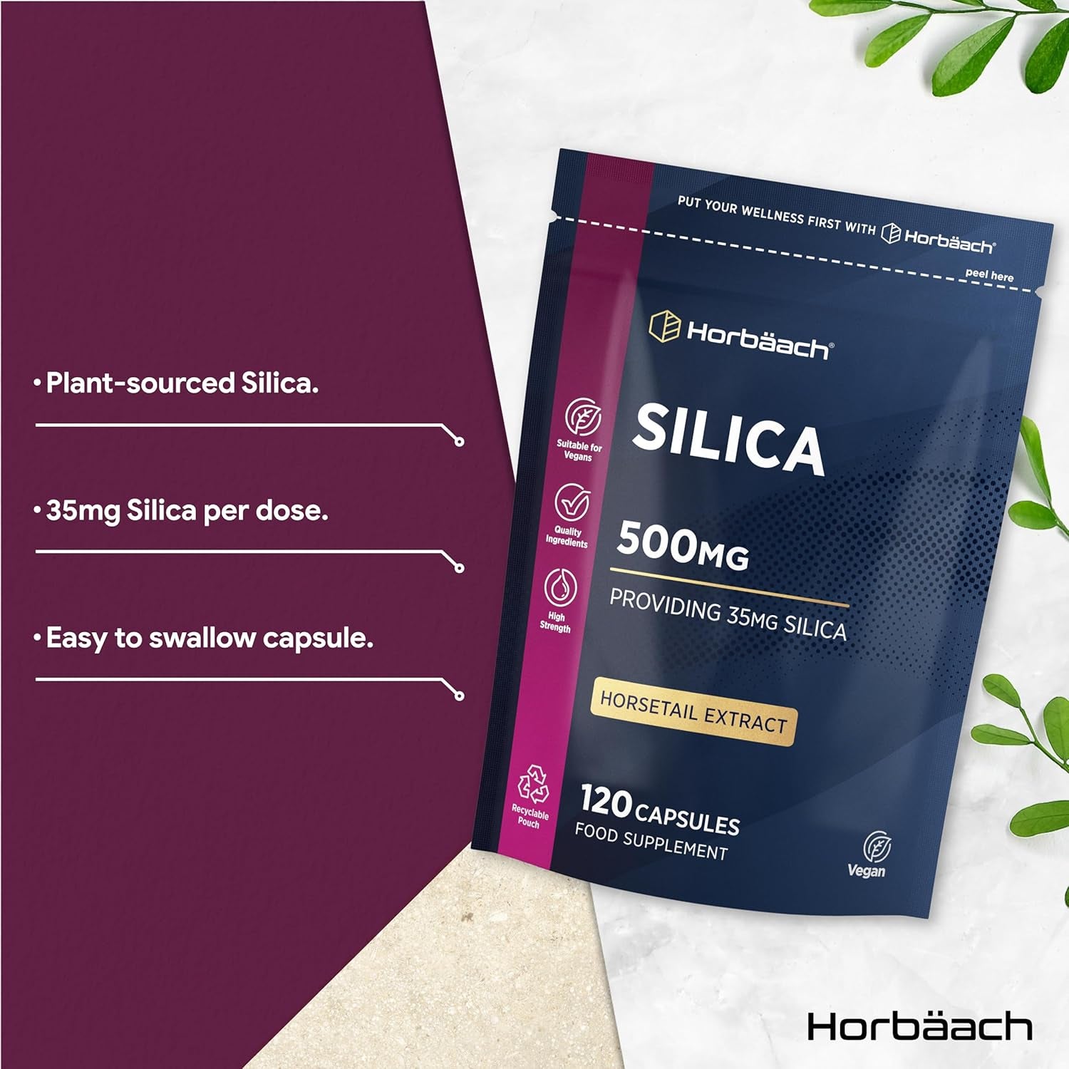 Silica Supplement 500Mg | High Strength Silica from Horsetail Extract | 120 Powder Capsules | Vegan | 4 Month Supply | by Horbaach