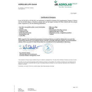 Hepatica Huperzine a 250Mcg – 120 Vegan Capsules | High-Strength Memory, Focus & Cognitive Support | 3Rd Party Lab Tested