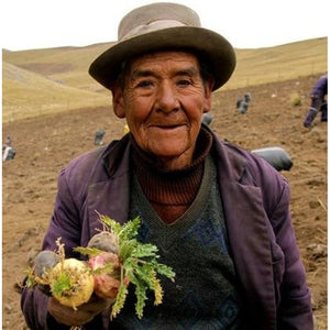 Triple Maca Root Powder, Organic Gelatinized, Certified, 250G from Peru, Women Hormonal Balance or for Men Prostate Support, by Selvabio.