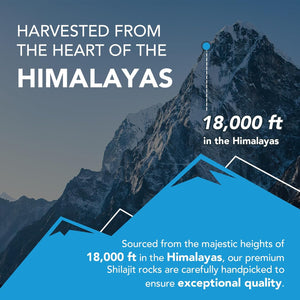 Shilajit High Potency Purified Himalayan Shilajit Resin with Fulvic Acid, Trace Minerals & Humic Acid, Vegan, Replenish Energy and Immune Support (Pack of 1)