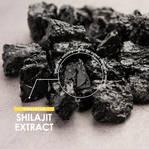 Shilajit Extract 6000Mg - 60% Fulvic Acid (180Mg) - 90 Vegan Capsules - Himilayan Shilajit Resin (3 Months Supply) - Resealable and Recyclable Pouch - by Alpha01