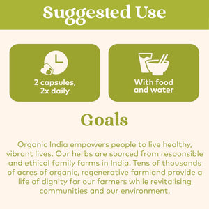 Organic India Amalaki, Certified Organic & Vegan, 90 Capsules