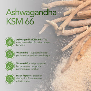 Zipvit Ashwagandha KSM 66 2000 Mg with Vitamin B6, B5 & Black Pepper, High Strength Ashwagandha Root Extract, 60 Vegan Capsules, 2 Months Supply