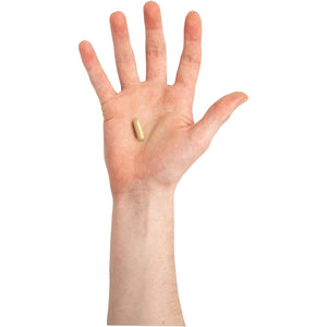 Troo Health Care Saccharomyces Boulardii Supplement - 90 Capsules – 5 Billion Cfu with Olive Leaf, Biotin and Vitamin D - Highly Stable Friendly Yeast to Support Gut Bacteria Balance