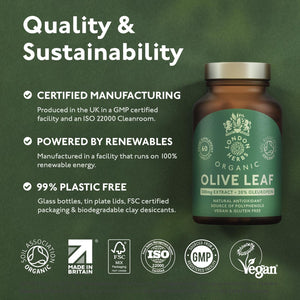 Organic Olive Leaf Extract 500Mg | Standardised for 20% Oleuropein | 120 Vegan Capsules | Made in the UK