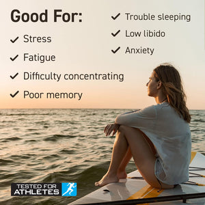 Applied Nutrition Ashwagandha KSM-66 - Premium Ashwagandha Herbal Supplement for Energy, Anxiety, Stress, Made in the UK (60 Capsules)