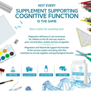 Neuroactive 120 Highly Bioavailable Micro-Tablets - Magnesium Citrate, Zinc Picolinate, Copper Glycinate & Vitamin B6 Balanced for Children and Adults - Vegan - UK Made