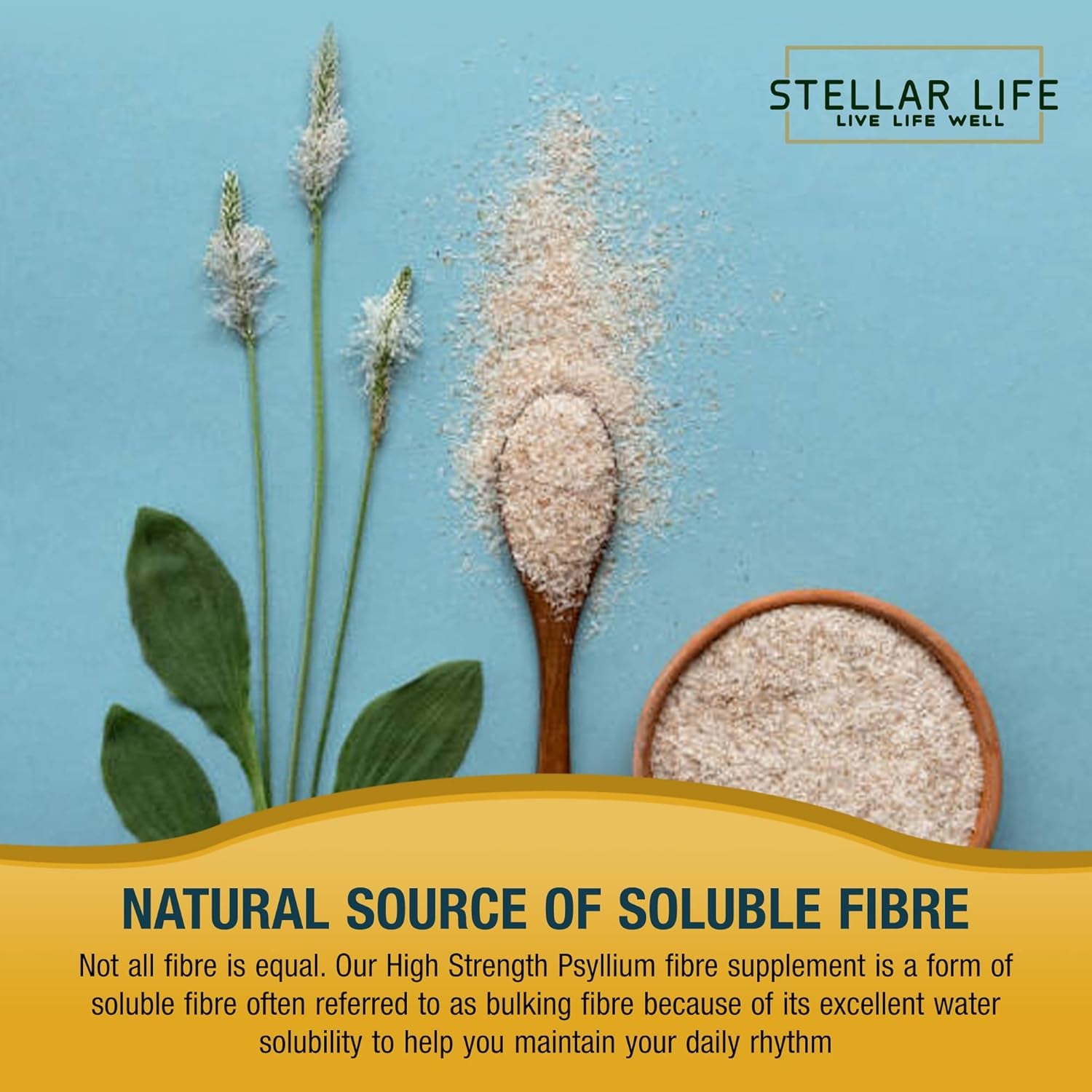 240 X Psyllium Husks Fibre Supplement – 1400Mg per Serving – Naturally High in Soluble Fibre – High Strength Vegan Capsules – 4 Months Supply – Made in the UK