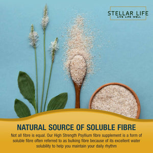 240 X Psyllium Husks Fibre Supplement – 1400Mg per Serving – Naturally High in Soluble Fibre – High Strength Vegan Capsules – 4 Months Supply – Made in the UK