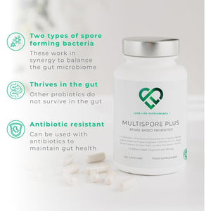 Multispore® plus Probiotics, 4 Month Supply - 120 Capsules, Bacillus Coagulans & Bacillus Subtilis Spore Based Probiotic, Bloating Relief/Gut Health, with Digestive Enzymes & Prebiotic Inulin, UK Made
