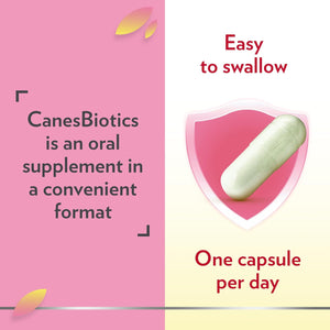 Canesten Canesbiotics, Oral Capsules with Live Friendly Bacteria Naturally Present in the Vaginal Flora, 4 Billion Live Cultures, Vitamin B2, Food Supplement, 30 Capsules