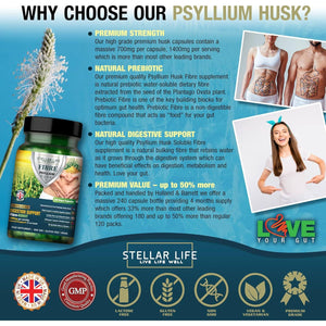 240 X Psyllium Husks Fibre Supplement – 1400Mg per Serving – Naturally High in Soluble Fibre – High Strength Vegan Capsules – 4 Months Supply – Made in the UK