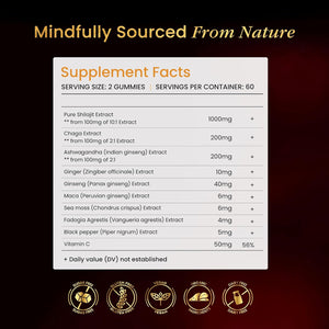 Beepwell Shilajit Gummies – Enhanced Strength Gummies for Overall Wellness, Naturally Sweetened Vegan Gummies – Natural and Pure – 60 Gummies – Cherry Flavored