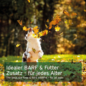 Aniforte Egg Shell Powder 250G Calcium for Dogs & Cats - Natural Calcium Source, Supports Bones & Teeth, Egg Shell Powder for Barf, High Bioavailability