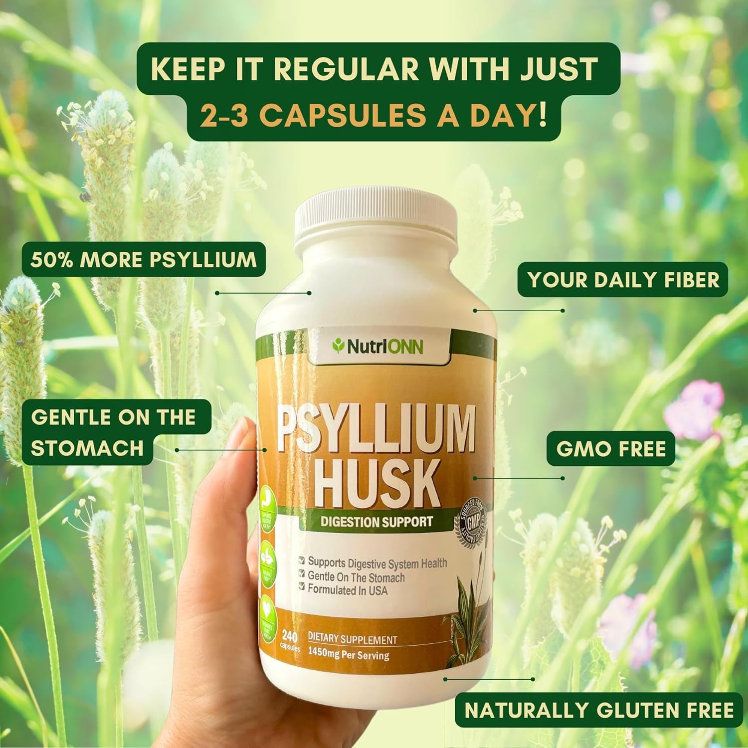 PSYLLIUM Husk Capsules - 1450Mg per Serving - 240 Capsules - Premium Psyllium Fiber Supplement - Great for Digestion and Regularity - 100% Natural Soluble Fiber