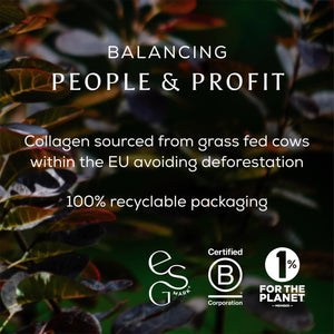 Ancient + Brave Matcha + Collagen 150G Tub - Lion'S Mane Mushroom Powder for Mental Clarity - Hydrolysed Collagen Peptides - for Skin, Hair & Nails - Organic Matcha Tea, MCT Oil, Moringa & Cinnamon