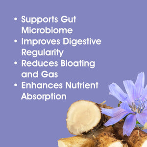 Premium Inulin Powder 1Kg - Dietary Fibre from Chicory Root | Vegan, Non-Gmo, Palm Oil Free | Fibre Supplement Made in the EU