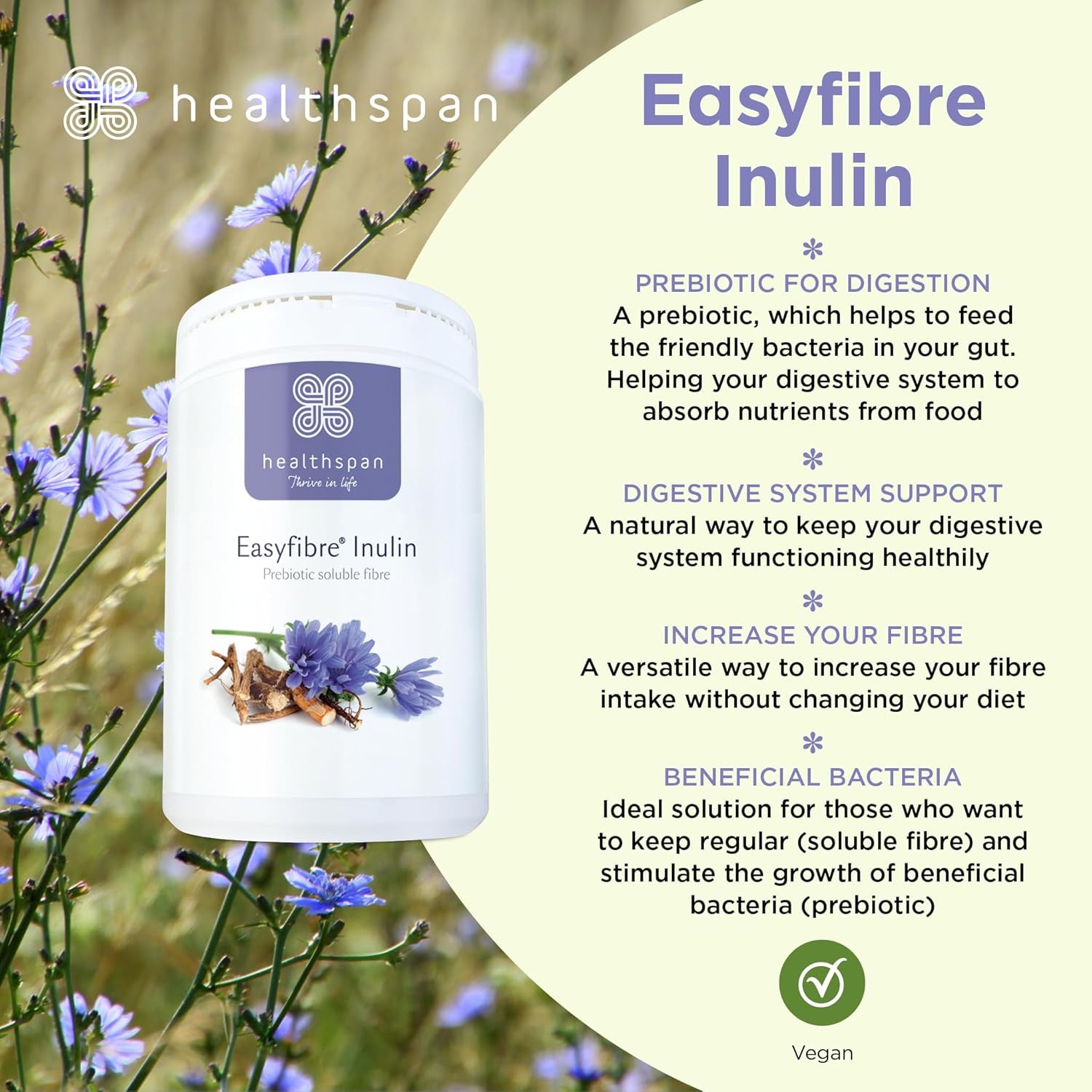Healthspan Easyfibre Inulin (450G) | a Natural Way to Keep Your Digestive System Functioning Healthily | Increase Fibre Intake | Made from 100% Chicory Root | Vegan