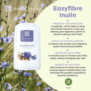 Healthspan Easyfibre Inulin (450G) | a Natural Way to Keep Your Digestive System Functioning Healthily | Increase Fibre Intake | Made from 100% Chicory Root | Vegan