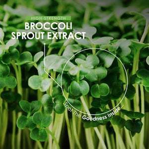Organic Broccoli Sprout Extract 21,000Mg - 90 Vegan Capsules - High Strength 15:1 Brassica Oleracea Supplement Extract - Resealable and Recyclable Pouch - by Alpha01