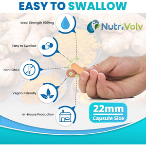 Turmeric Curcumin 500Mg anti Inflammatory & Antioxidant Supplements | 120 Capsules