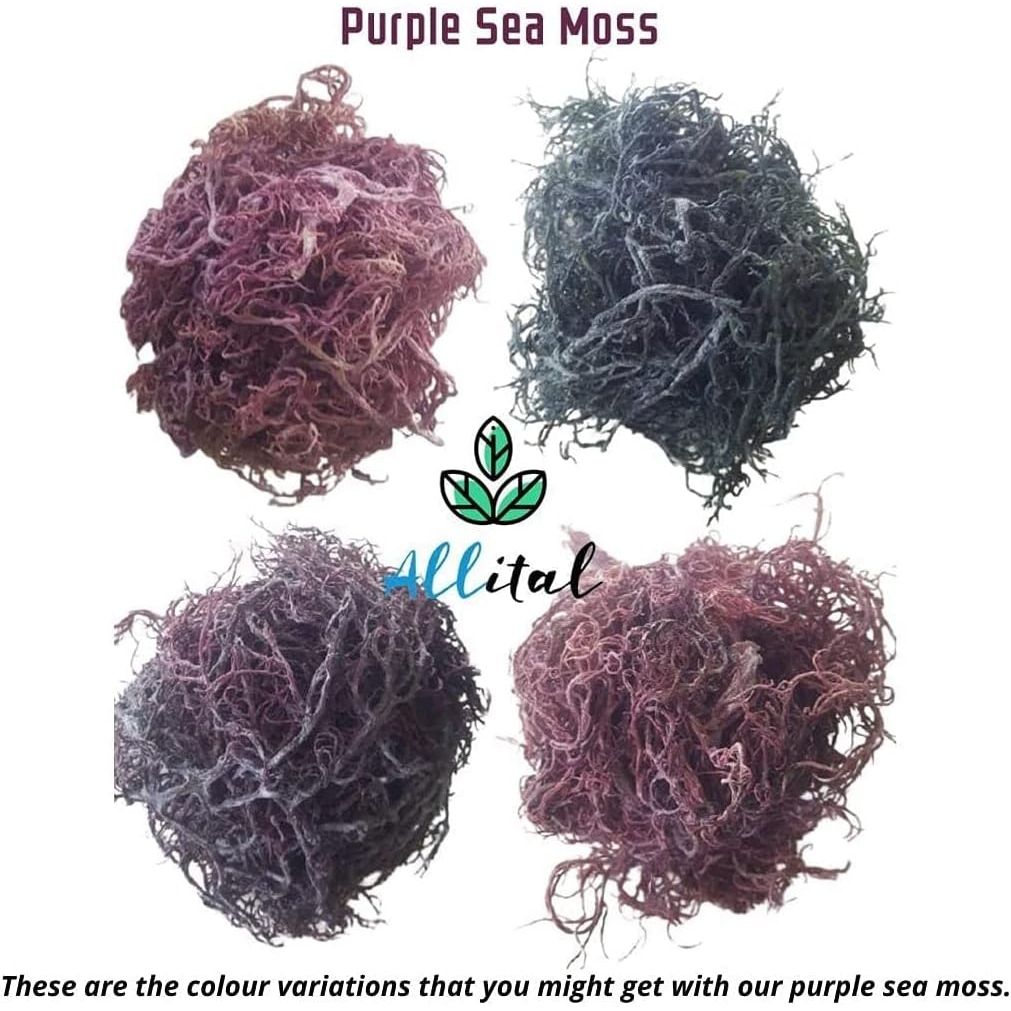 Purple Sea Moss - Raw Wildcrafted St Lucian, 100G Purple Irish Seamoss, Non GMO, Full of Minerals, Great for Smoothies, Soups, Salads…