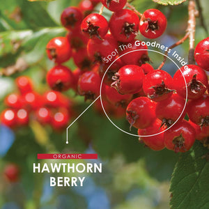 Organic Hawthorn Berry 1000Mg – High Strength Hawthorn Supplement – 90 Vegan Capsules – Resealable and Recyclable Pouch by Alpha01