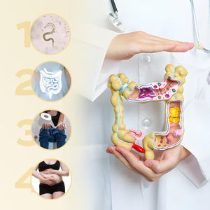 Zühre Ana® Bromelain Syrup - with Bromelain, Coenzyme Q10, Mate Extract, L-Carnitine and Natural Pineapple Aroma - Your Natural Support in Everyday Life - Vegan