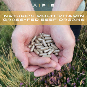 APE Nutrition Beef Organs Grass Fed - Liver Kidney Heart Organ Capsules, Ancestral Supplement UK, Nose to Tail, 100% Grass Fed & Finished, No Antibiotics Hormones or Gmos, 180 500Mg Capsules
