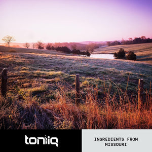 28,000Mg 20X Concentrated Extract Beetroot Capsules - Natural Nitric Oxide Booster - Highly Concentrated and Bioavailable - Third-Party Tested Beets Supplements - 120 Veggie Capsules - 60 Servings TQ