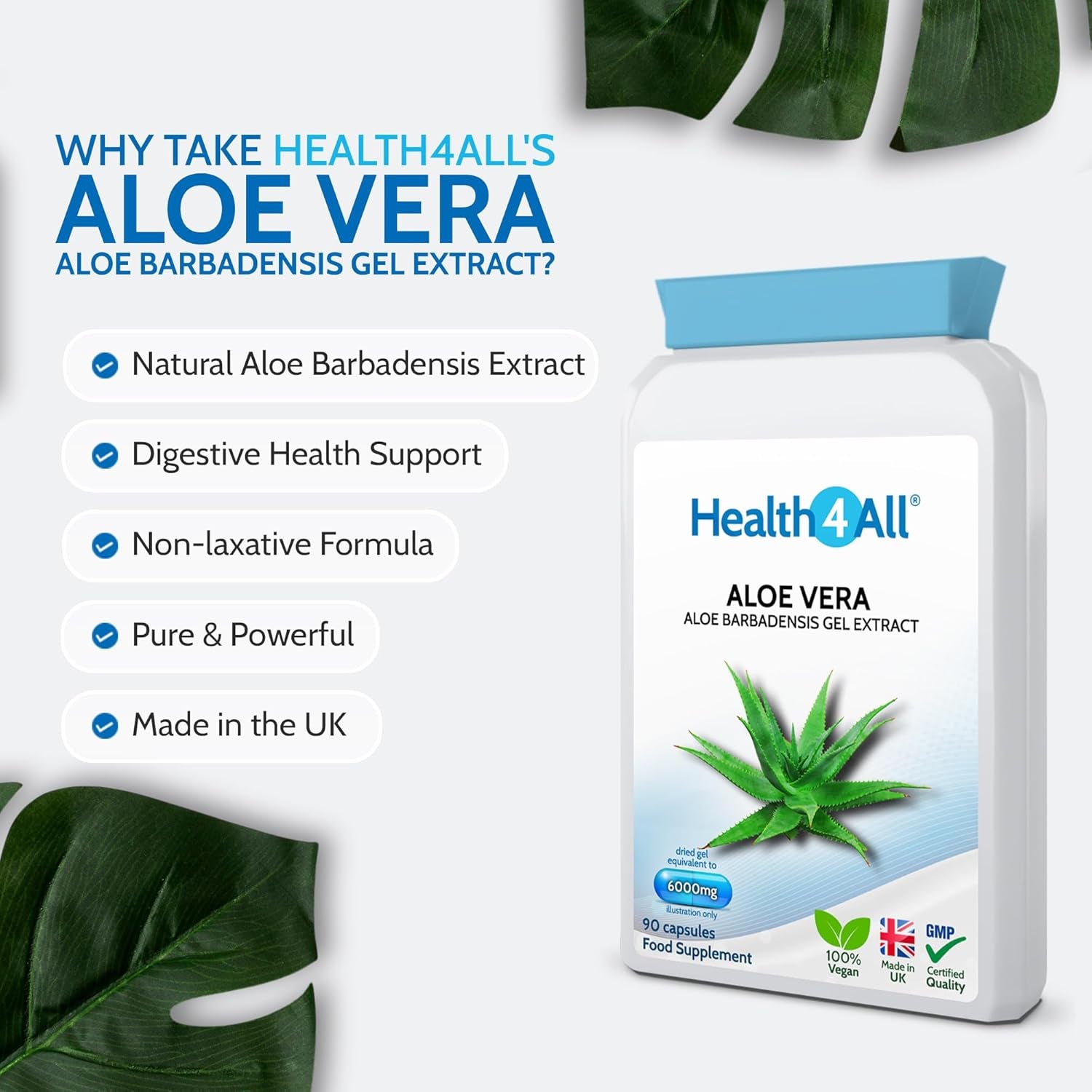 Health4All Aloe Vera Gel Extract 6000Mg 90 Capsules, Digestive Health Detox Supplement, Support for Leaky Gut, Acid-Alkaline and Ph Balance, Pure Vegan Cleanse Capsules (Not Tablets) | Made in UK