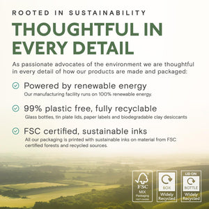 Organic Stinging Nettle Root Extract 2000Mg | High Strength 4:1 Extract Stinging Nettle Supplement | 60 Vegan Capsules | Made in the UK | Sustainably Packaged & Produced