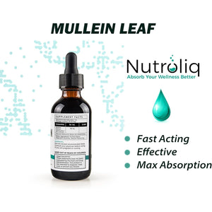 Nutroliq Mullein Leaf 50:1 Extract Drops - Vegan, Non-Gmo Supplements for Lung Cleanse and Respiratory Health, Digestive Wellness, Sound Sleep Support - Fast Absorption Tincture - 60Ml, 2 Month Supply