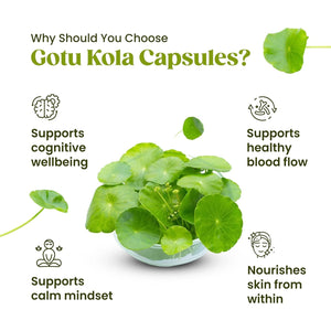H&C Gotu Kola (Centella Asiatica) Capsules - 900Mg per Serving, 120 Counts | for Memory and Concentration