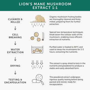 Organic Lions Mane | High Strength 9200 Mg | 20:1 Dual Extract | Full Spectrum | 100% Fruiting Bodies | Guaranteed 40% Polysaccharides & 30% Beta-Glucans | Guaranteed Hericenones | Additive Free