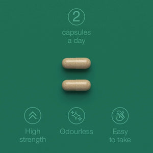 Green Lipped Mussel for Humans & Dogs - New Zealand Green Lipped Mussel Capsules 1000Mg - High Strength Joint & Mobility Supplement with Omega 3-100% Pure Powder - 90 Tablets - Made in the UK